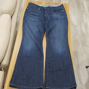 Gap 1969 bootcut jeans